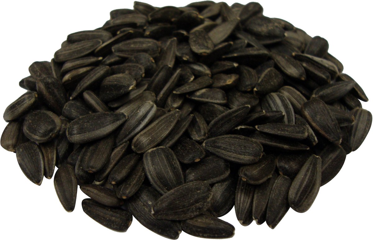 Brown's Song Blend Dark Oil Sunflower Seeds Bird Food