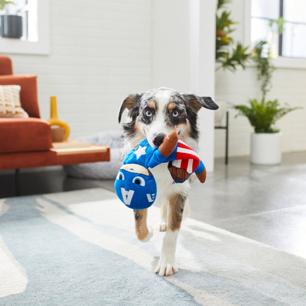 Marvel 's Captain America Bungee Plush Squeaky Dog Toy