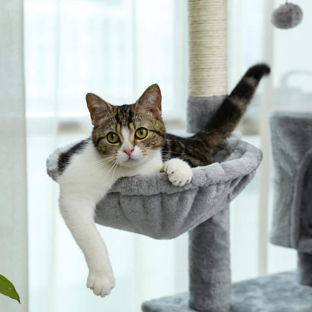 Foobrues 56.30 in. H Pet Cat Scratching Posts and Trees with Super Large Perch Double Condo Hammock in Gray LNN-P23168229