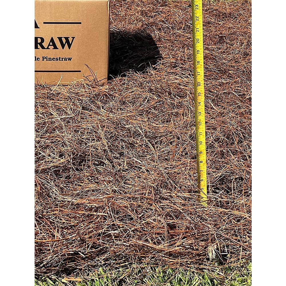 USA PINESTRAW Box of 160 Sq.ft. Long Needle Pine Straw Mulch HD-88-3EQ8-R75E