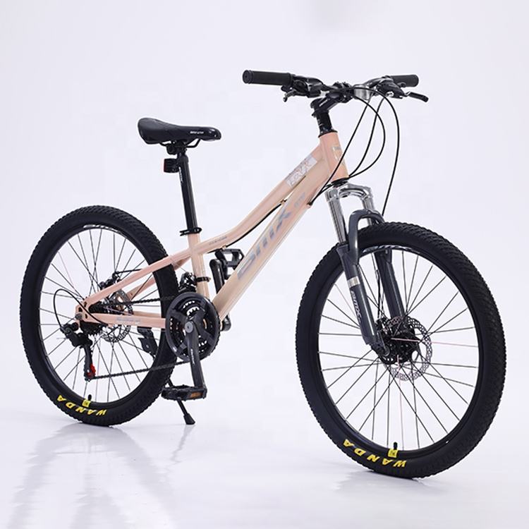 Hot Sale Cheap Price Cycle Disc Christmas Gift Mtb Off Road Bicycle Sport Style 21 Speed Cycling 26 Inch Men Women Mountain Bike