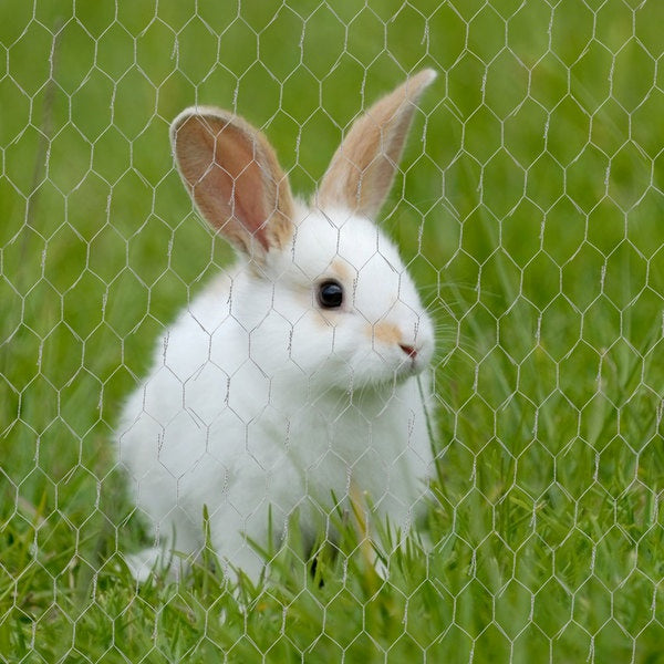 Willstar Chicken Wire Poultry Wire Netting Hexagonal Galvanized Mesh Garden Fence Barrier for Pet Rabbit Chicken Fencing