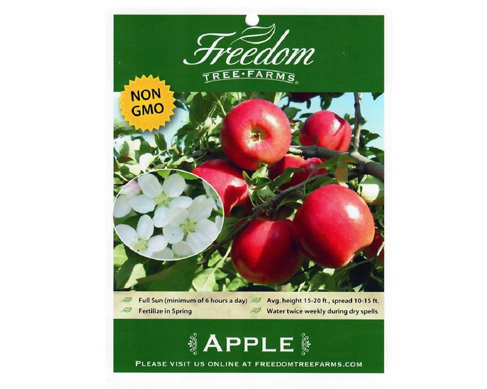 Freedom Tree Farms Northern Spy Apple Tree in 5 Gallon Bucket