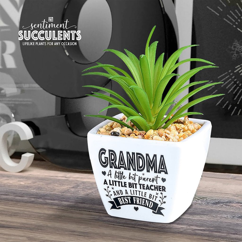 H & H Gifts  Succulent - Grandma