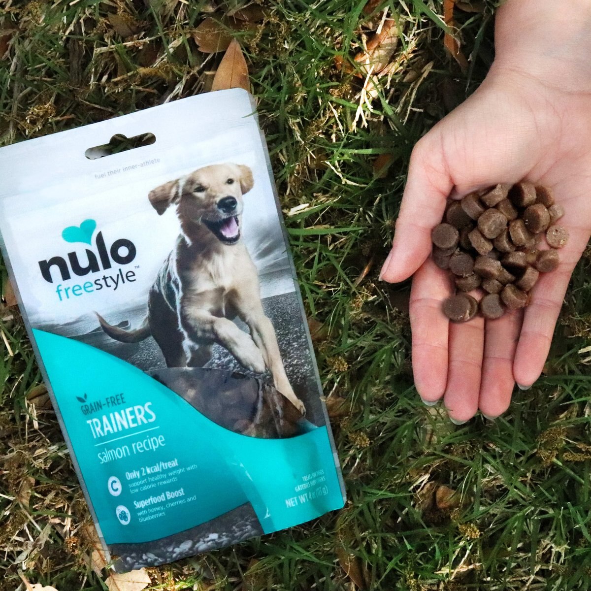 Nulo Freestyle Salmon Recipe Grain-Free Dog Training Treats