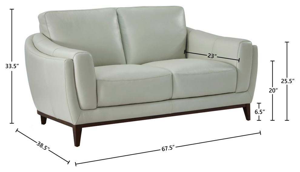 Rio Top Grain Leather Loveseat   Transitional   Loveseats   by Hello Sofa Home  Houzz