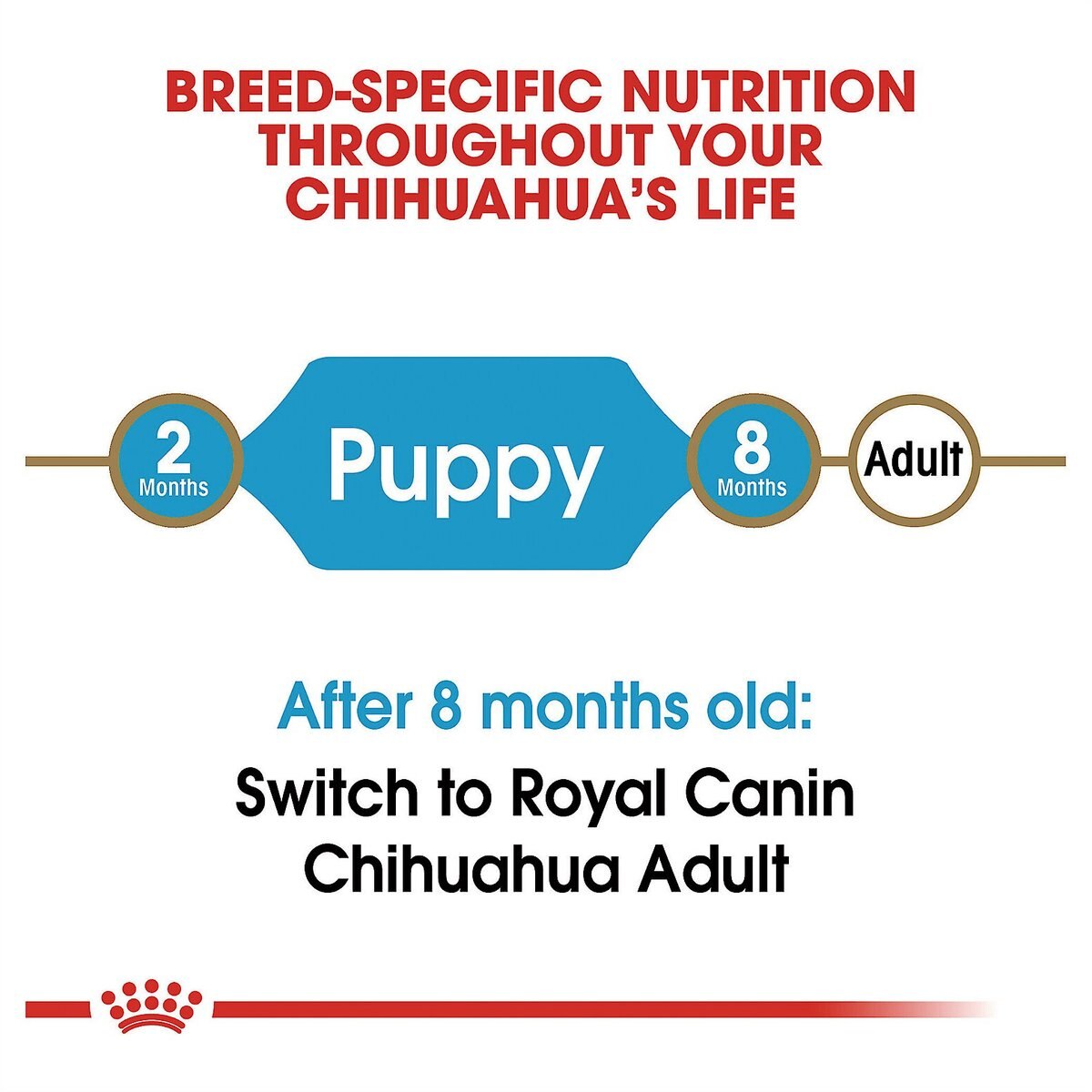 Royal Canin Breed Health Nutrition Chihuahua Puppy Dry Dog Food