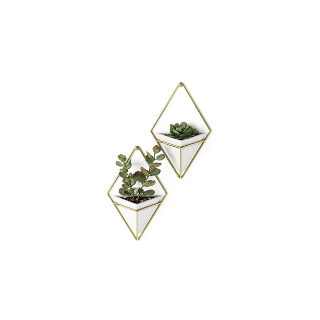 Set Of 2 Trigg Wall Display Planters White brass Umbra