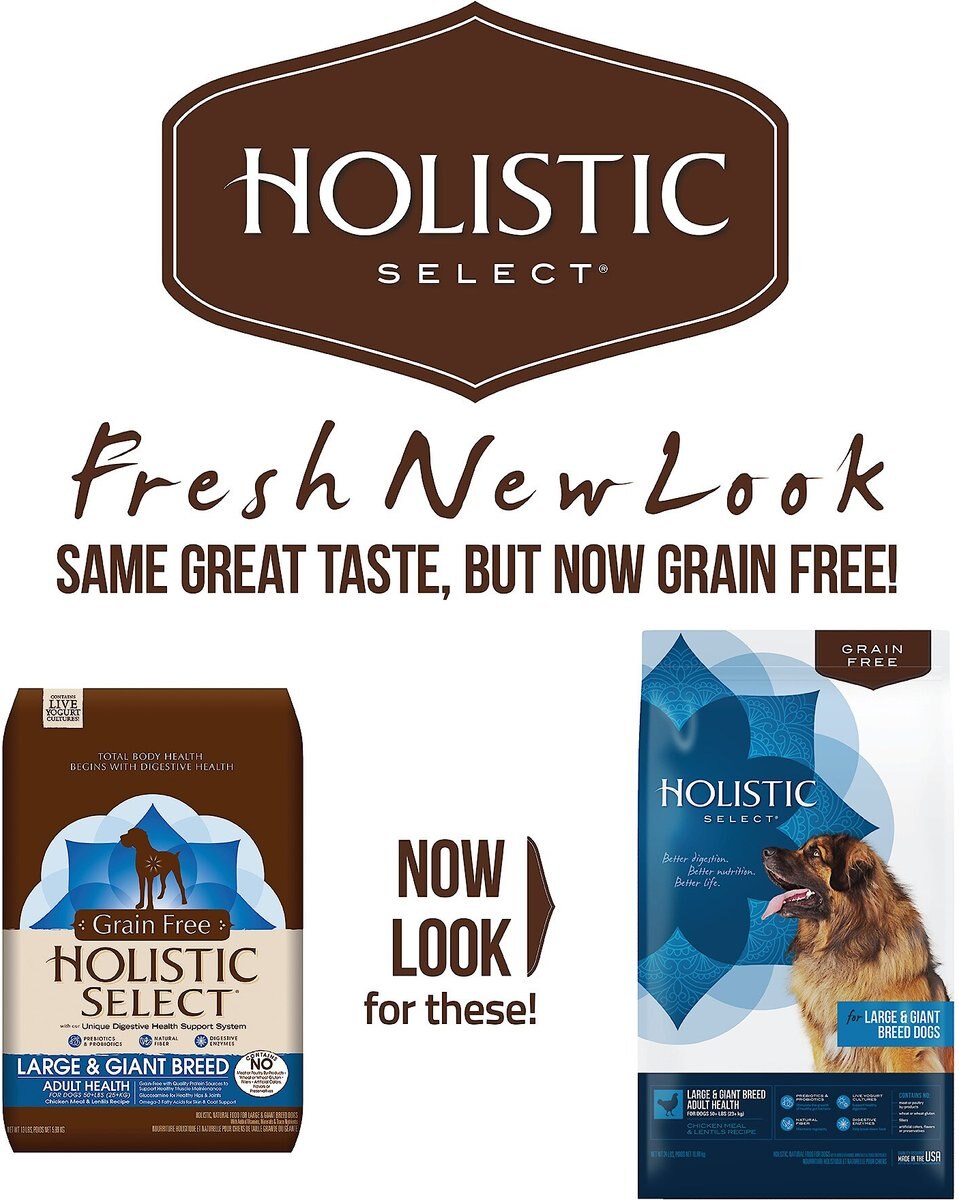 Holistic Select Large and Giant Breed Chicken Meal and Lentils Natural Grain-Free Dry Dog Food