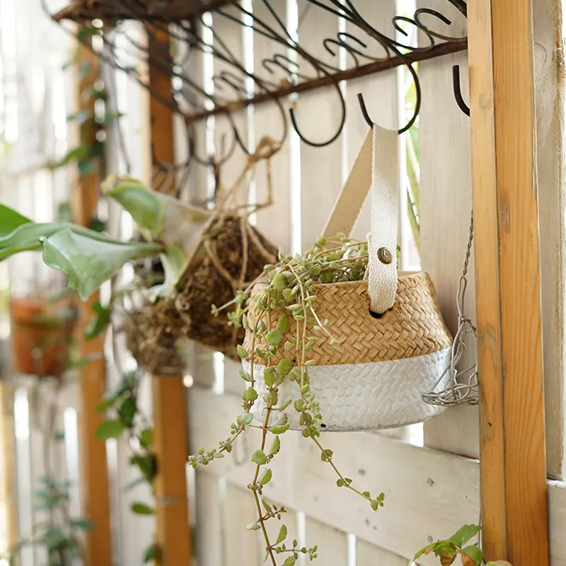 Wholesale Weaving Design Cement Hanging Pots Flower Vases for Home Garden Decor Plant Round Shape Modern Used with Flower/green