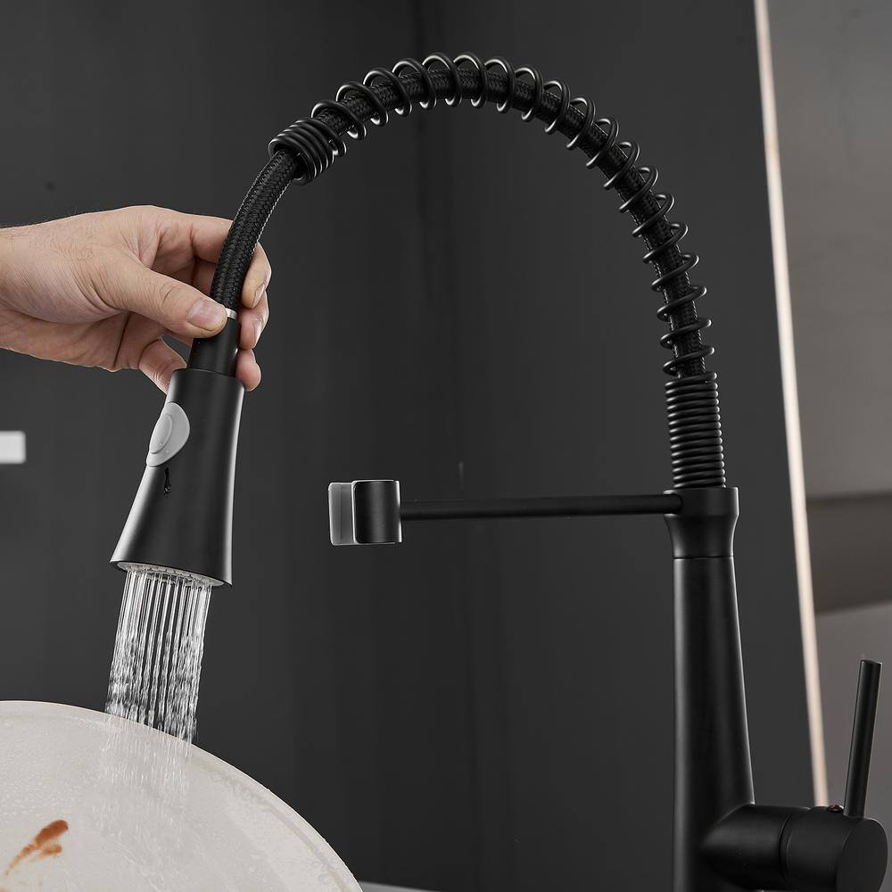 Boyel Living Black Stainless Steel Faucet Single-Handle Faucet Pull-Down Sprayer Kitchen Faucet BM2008B