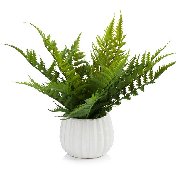 Enova Home 12 Inch Artificial Fern Plant Arrangement in Round Tapered Ceramic Pot with Faux Water