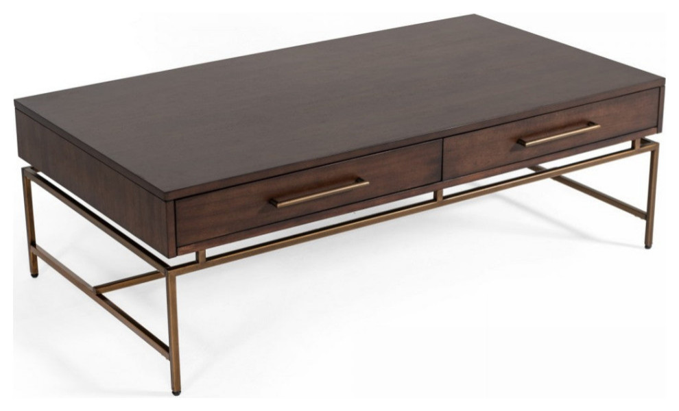 Trina Modern Acacia and Brass Coffee Table   Contemporary   Coffee Tables   by V.S.D Furniture  Houzz