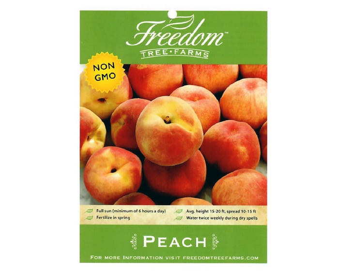 Freedom Tree Farms Contender Yellow Peach Tree in 5 Gallon Bucket