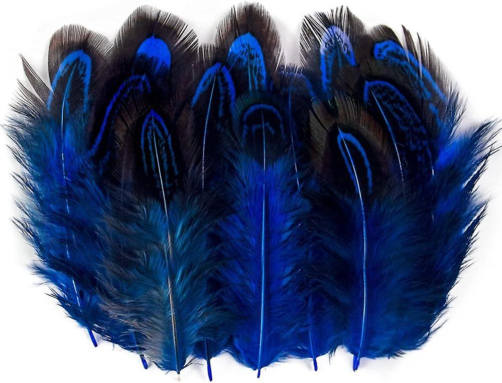 100 Pcs 2-3 Inch Royal Blue Pheasant Feathers Bulk Various Colors Natural Feather Crafts Clothing Hat Sewing Decorating