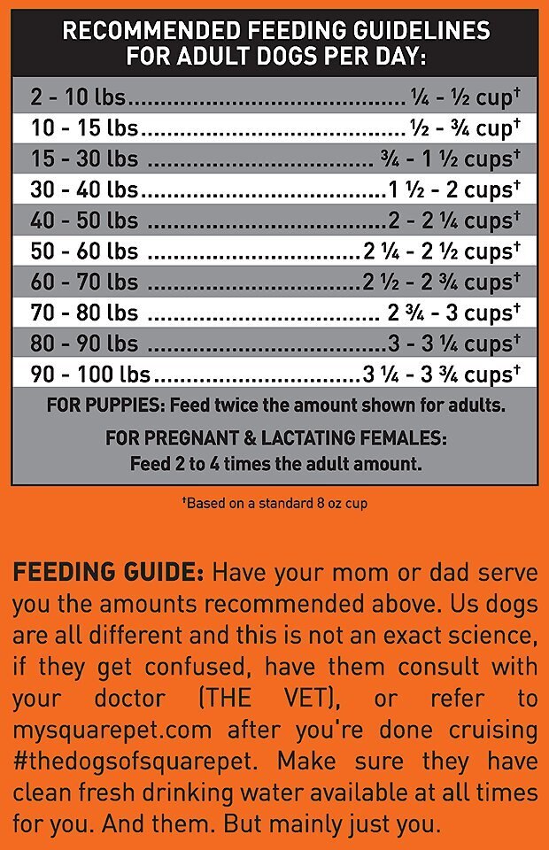 SquarePet Grain-Free Turkey and Chicken Formula Dry Dog Food