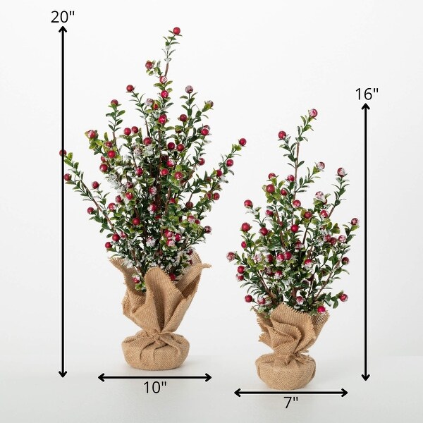 20H and 16H Sullivans Artificial Christmas Boxwood Berry Tree Set of 2，GreenRed