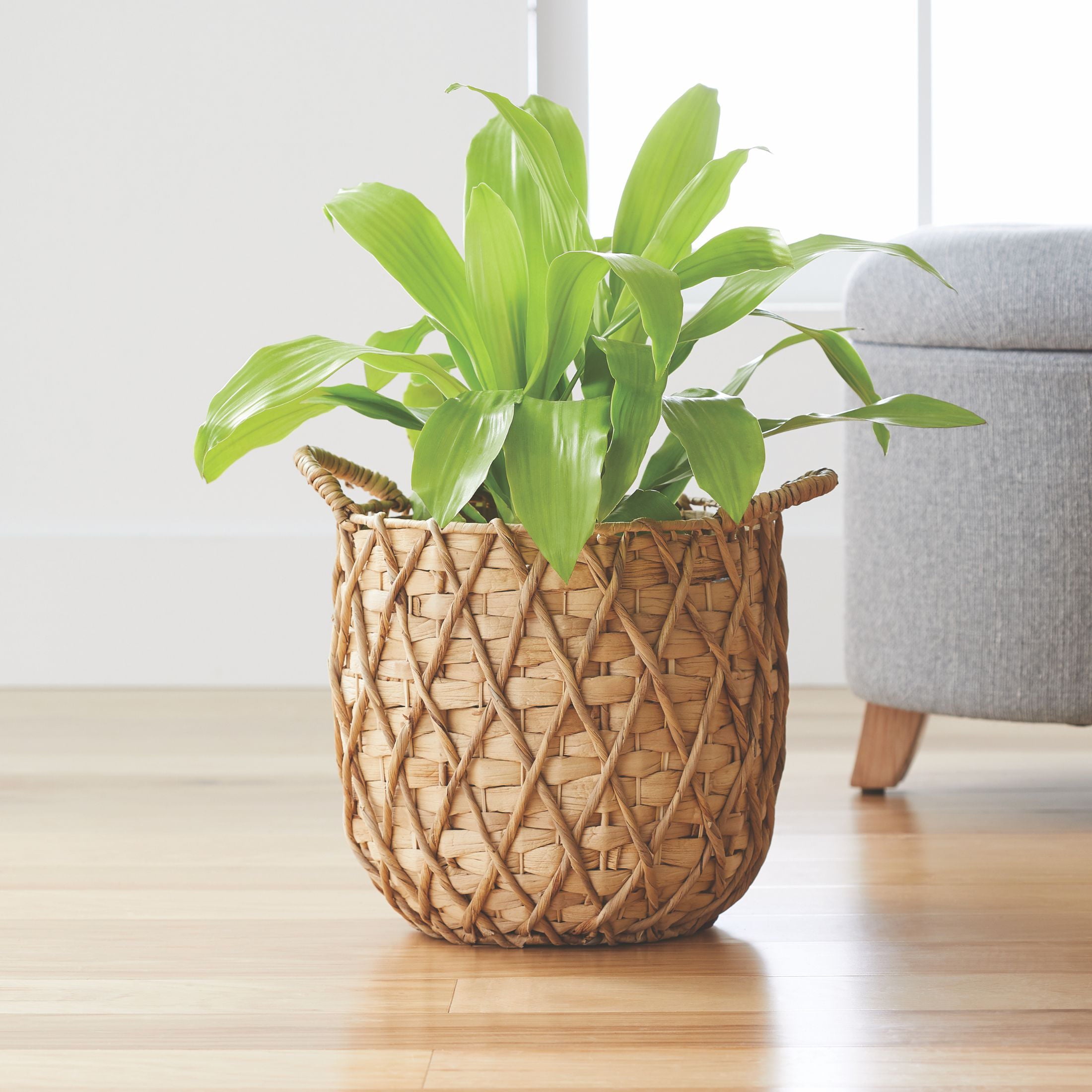 Better Homes & Gardens Claire 11 in Round Natural Water Hyacinth Indoor Basket Planter