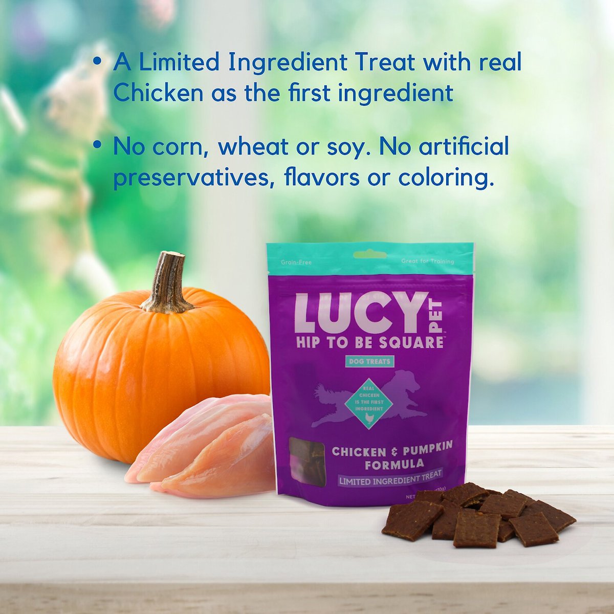 Lucy Pet Products Hip To Be Square Chicken and Pumpkin Formula Grain-Free Dog Treats