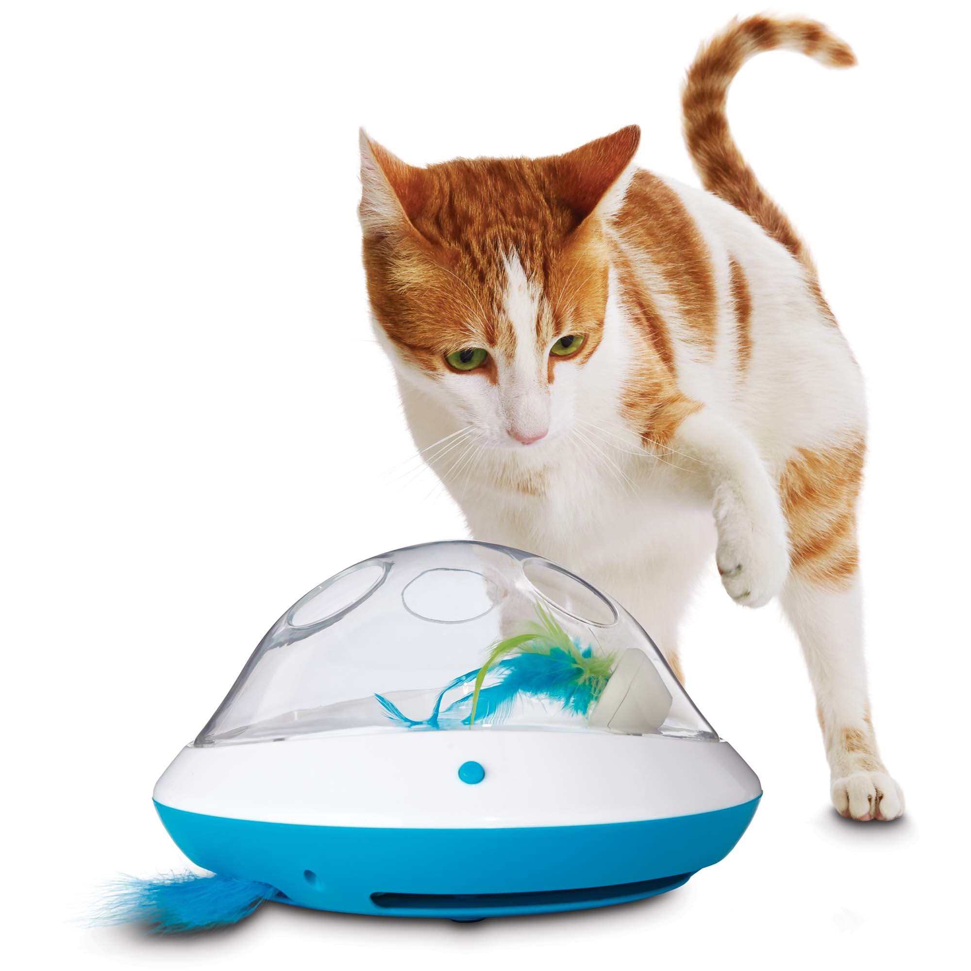 Leaps  Bounds Electric Play Dome for Cats