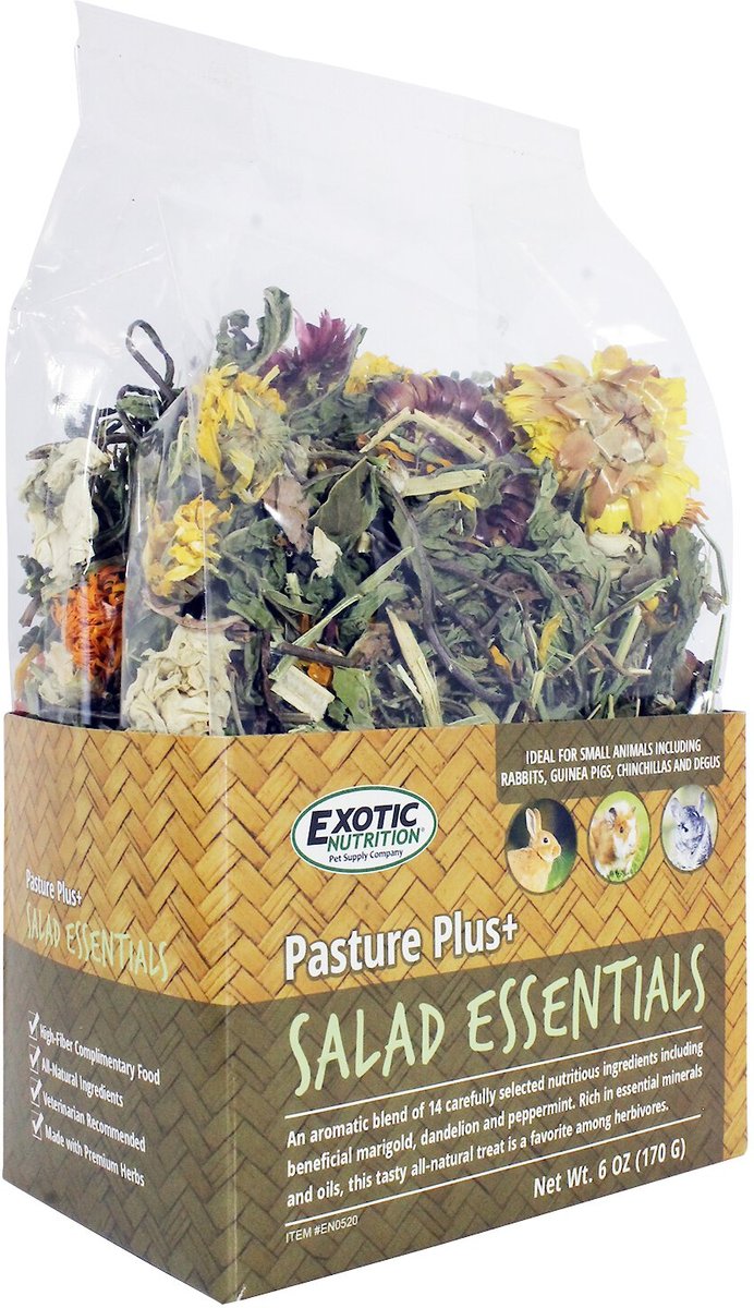 Exotic Nutrition Pasture Plus+ Salad Essentials Rabbit Treats， 6-oz box