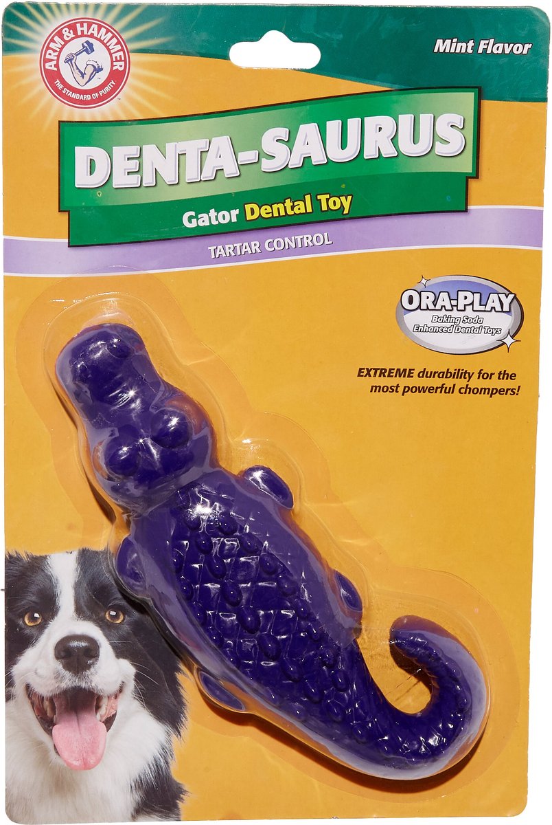 Arm and Hammer Ora Play Denta-Saurus Mint Tough Dog Chew Toy