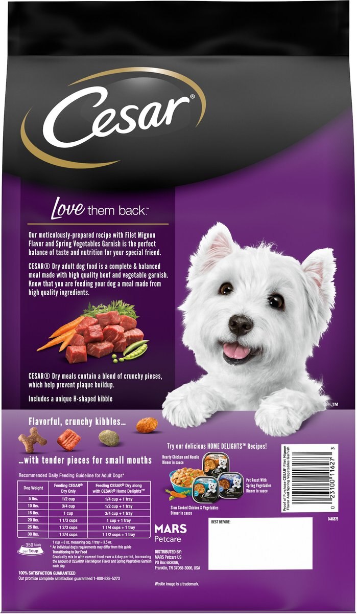 Cesar Filet Mignon Flavor and Spring Vegetables Garnish Small Breed Dry Dog Food