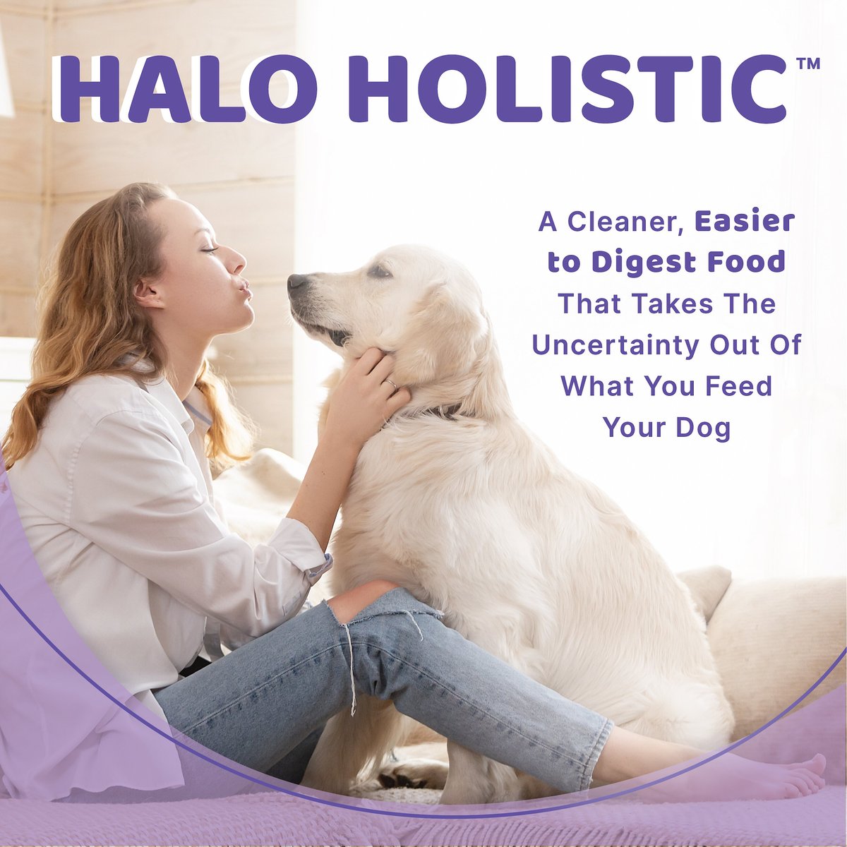 Halo Stew Variety Pack Canned Dog Food， 13.2-oz can， case of 6