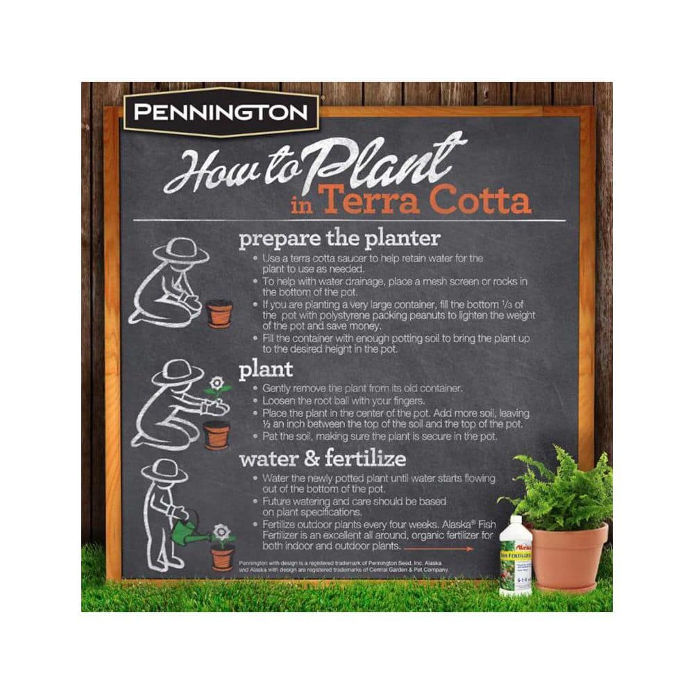 Pennington 7.5 in. Small Cabo Flair Terra Cotta Clay Pot 100523387