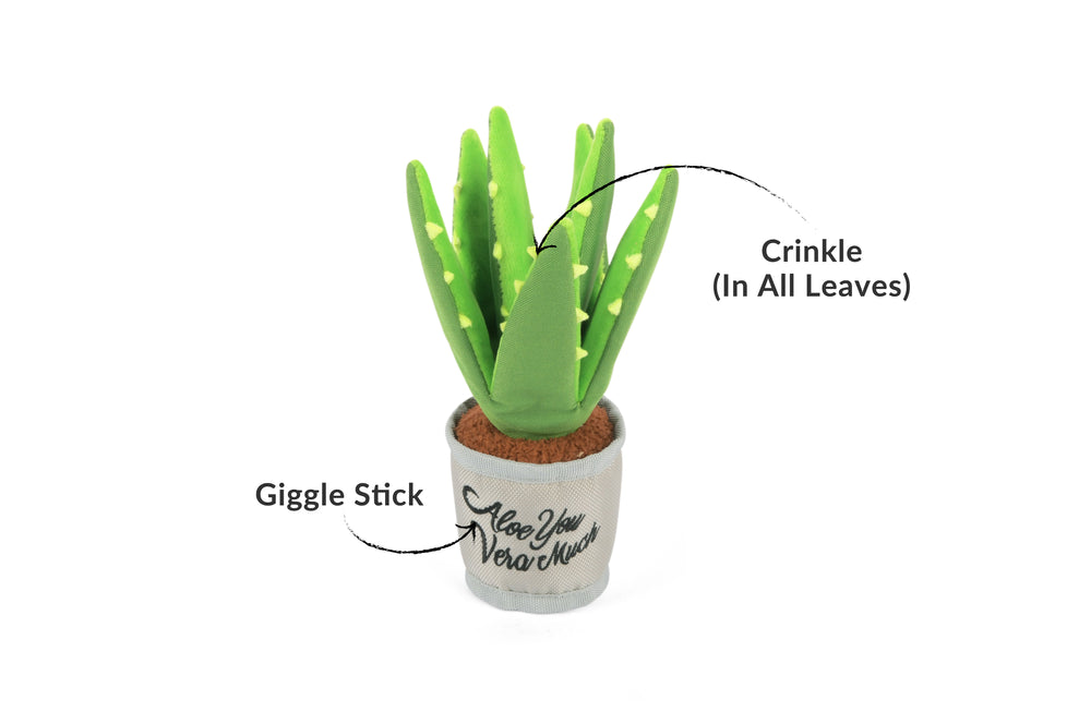 P.L.A.Y. Blooming Buddies Collection Aloe-ve You Plant Toy for Dogs