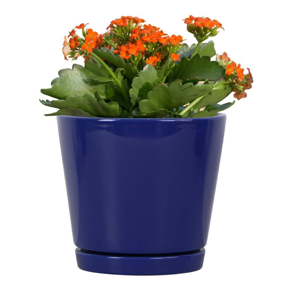 Vigoro 6 in. Piedmont Small Blue Ceramic Planter (6 in. D x 5.7 in. H) with Drainage Hole and Attached Saucer CR01721S-06M2