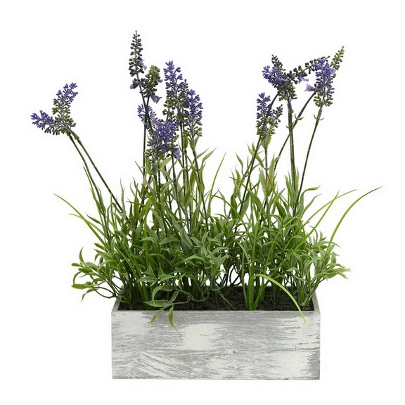 Vickerman FE181101 15 Lavender Plant in Wood Rect...