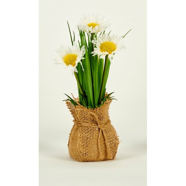 8 Daisy in Burlap Sack，Set of 2