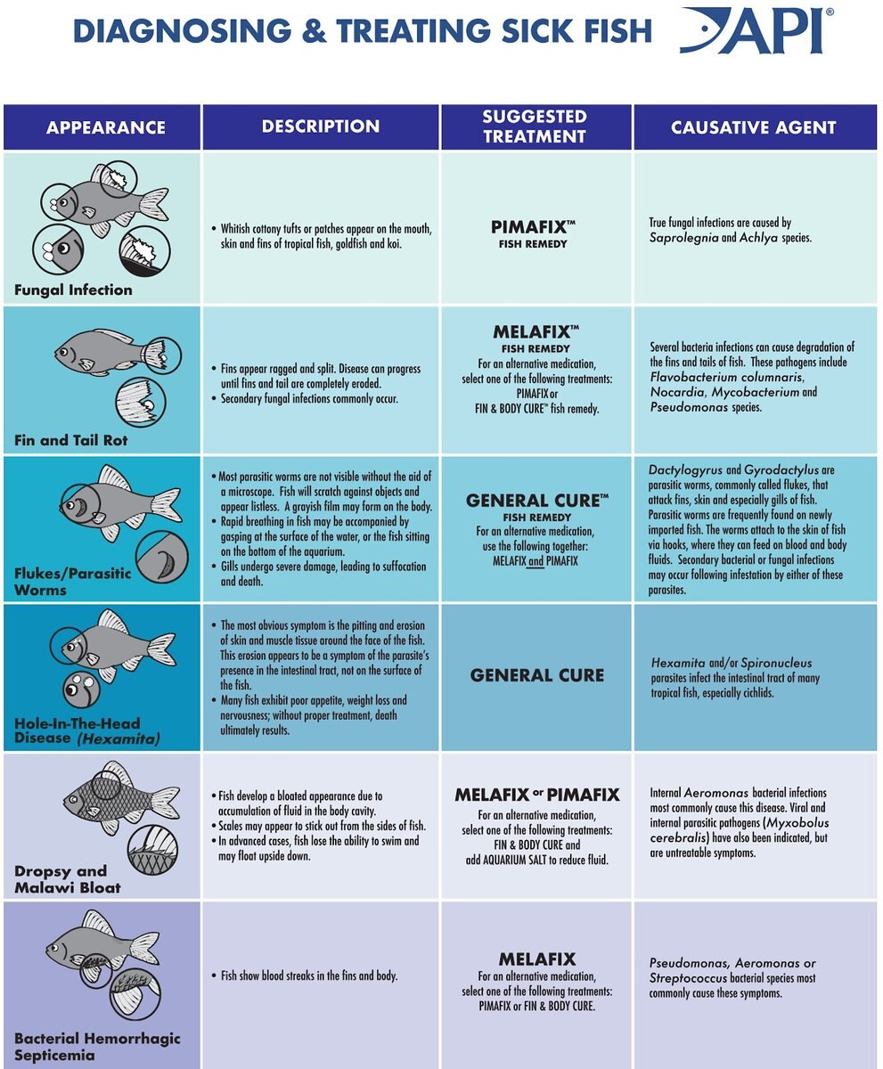 API Melafix Saltwater Fish and Coral Bacterial Infection Remedy