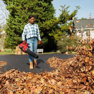 Toro 157 MPH 605 CFM 60-Volt Max Lithium-Ion Cordless Brushless Leaf Blower 4.0 Ah Battery and Charger Included 51822