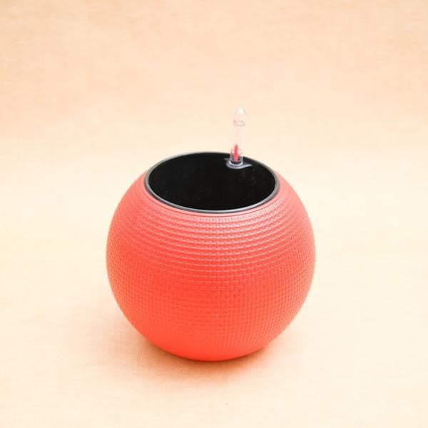 4.9 inch (12 cm) GW 01 Self Watering Round Plastic Planter (Red)