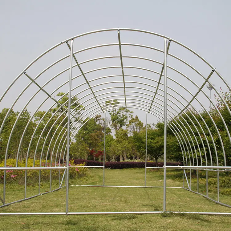 Normal supplies in poland green color farm greenhouse