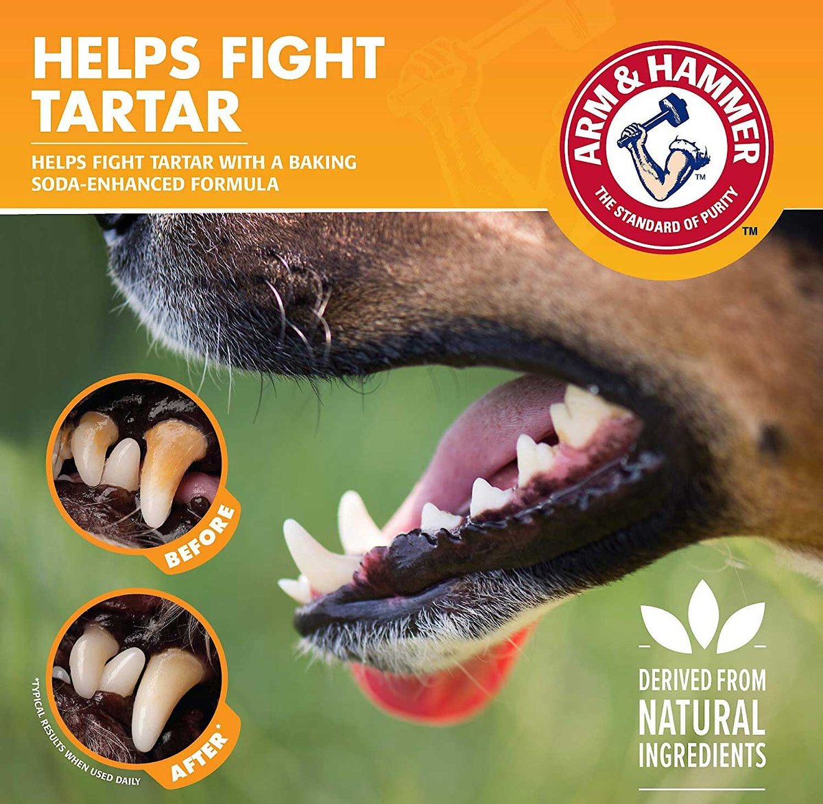 Arm and Hammer Tartar Control Unflavored Dog Dental Water Additive