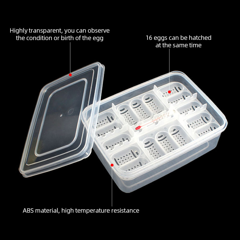 MABOTO Reptile Egg Tray Reptile Egg Box Reptile Breeding Box Reptile Incubation Box Suitable for Hatching Snake Lizards Reptiles with Thermometer