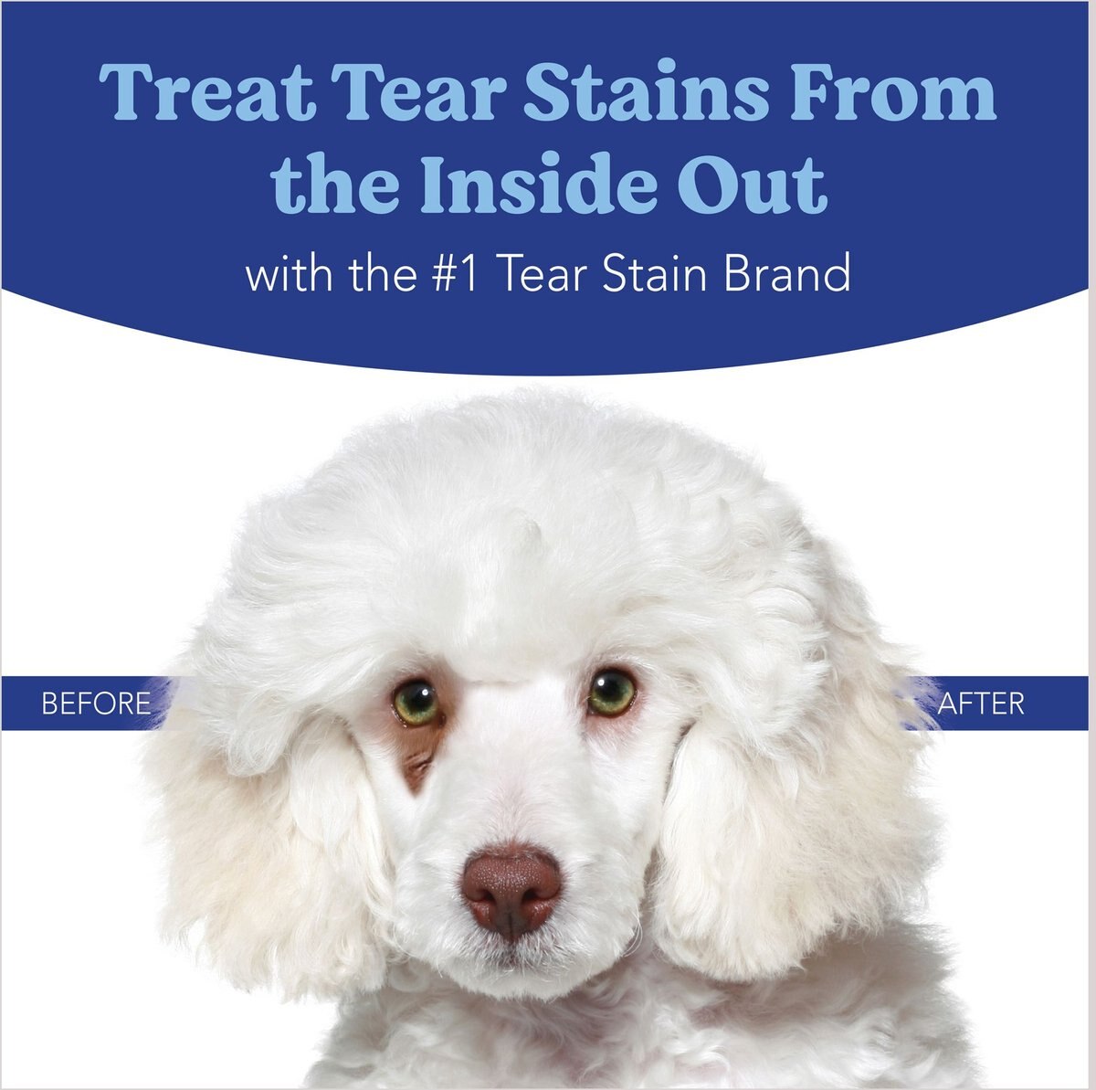 Angels' Eyes Plus Beef Flavored Powder Tear Stain Supplement for Dogs and Cats