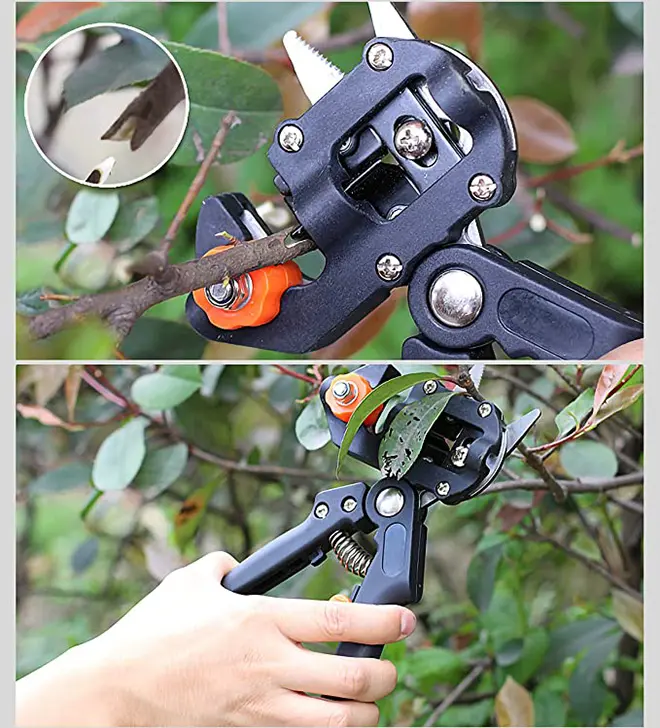 Hot Crimping Tool Pruning Shears Seedling Grafting Machine Tool Fruit Tree Grafting Grafting Shear Household Hand Tools