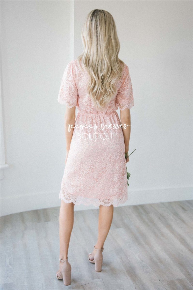 Soft Rose Scallop Lace Dress