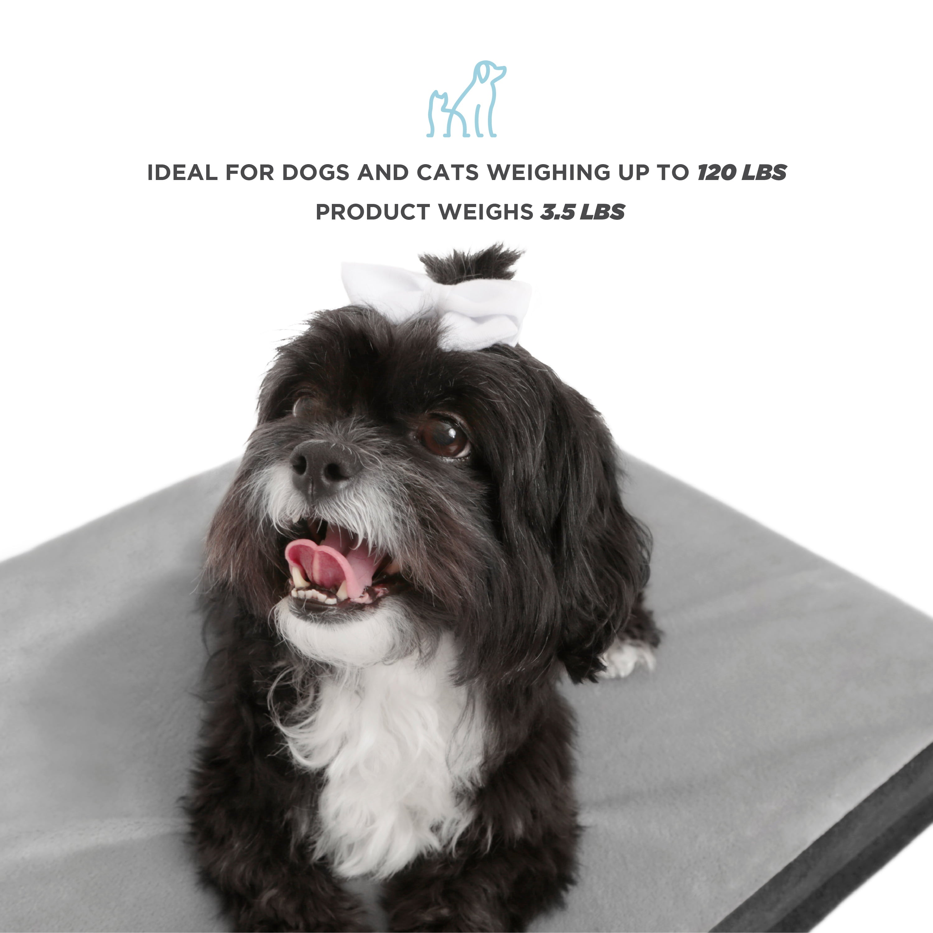 TailZzz Dream Pet Mattress | Large to Extra Large Dog Mattress | Anti-Slip Pet Mattress Bed