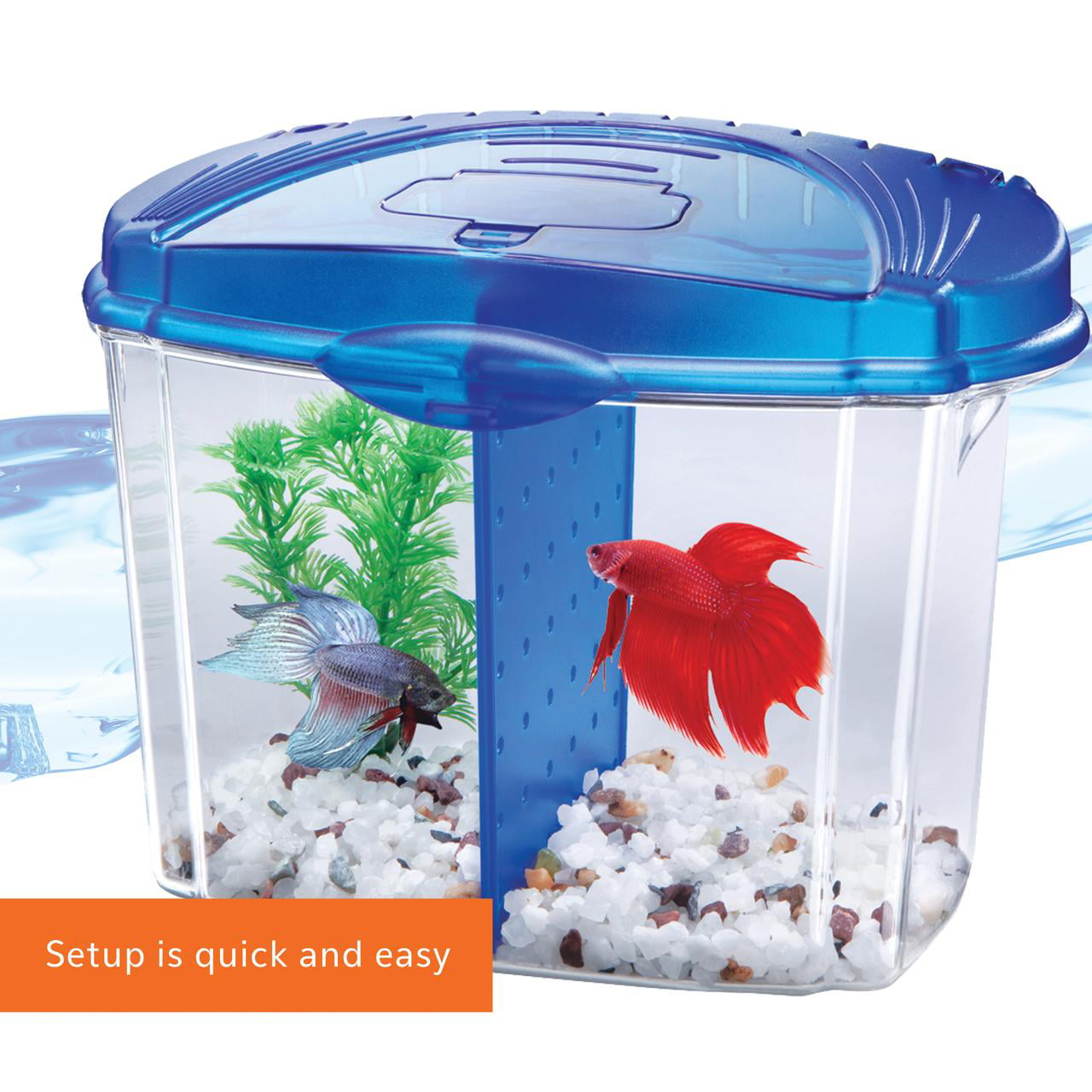 Aqueon Betta Bowl Kit Blue， 0.5 Gallon