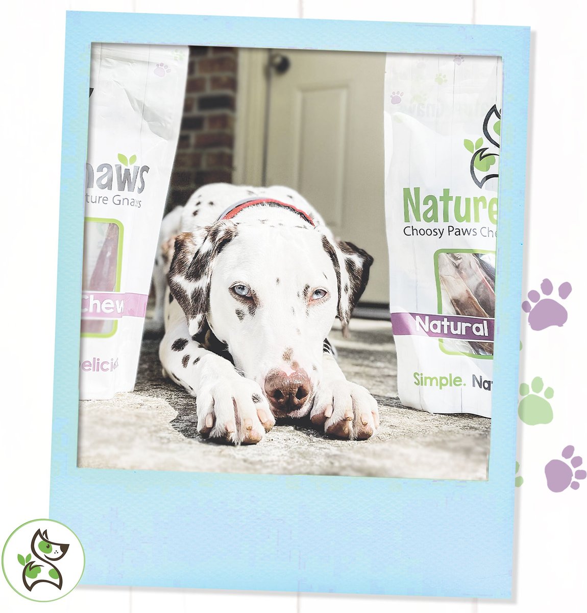 Nature Gnaws Large Breed Natural Chew Variety Pack Dog Treats