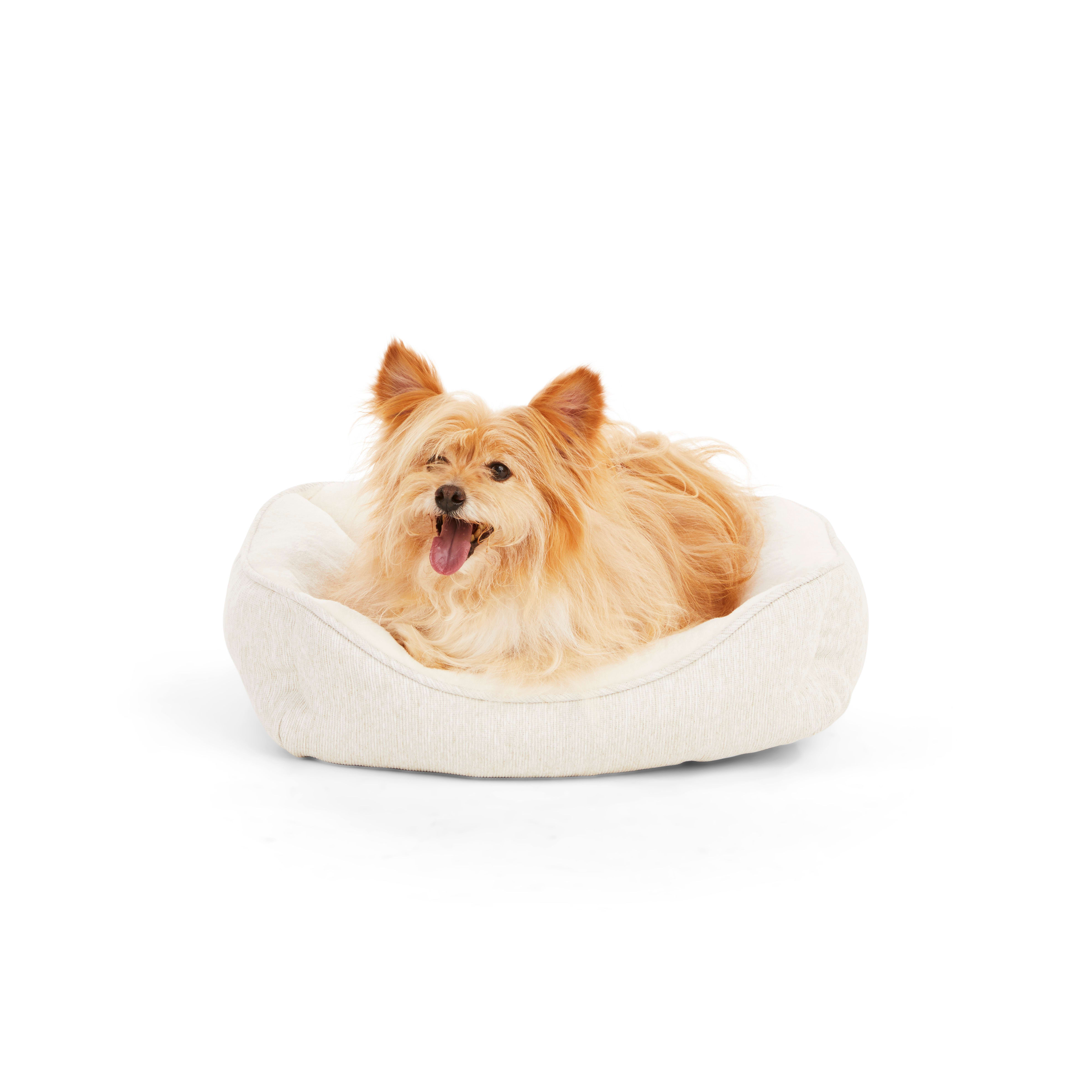 EveryYay Essentials Snooze Fest Brown Melange Knit Nester Dog Bed， 20