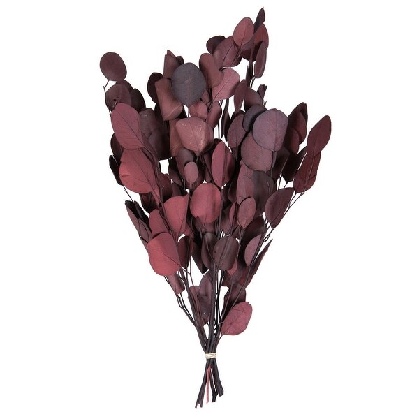 Vickerman Natural Botanicals 1820 x 8 Eucalyptus Populus Red，100 grams per unit