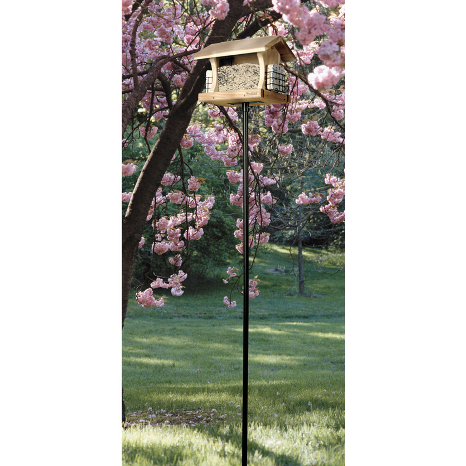 Woodlink 72 in. H X 6.5 in. W X 2 in. D Bird Feeder Pole