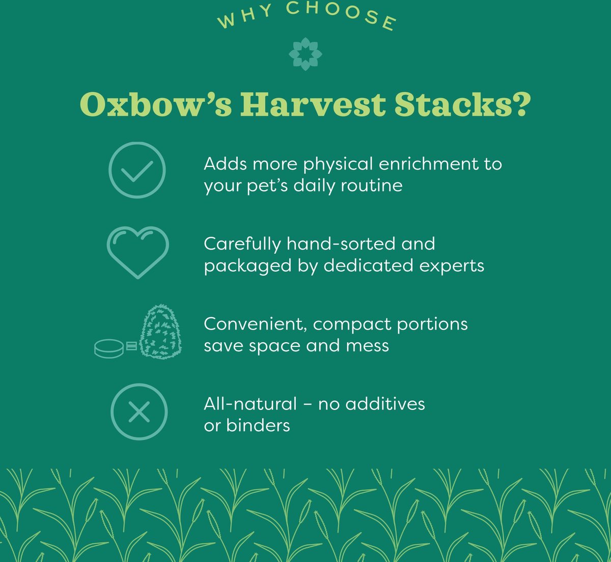 Oxbow Harvest Stacks Compressed Western Timothy Hay with Carrots Small Animal Food