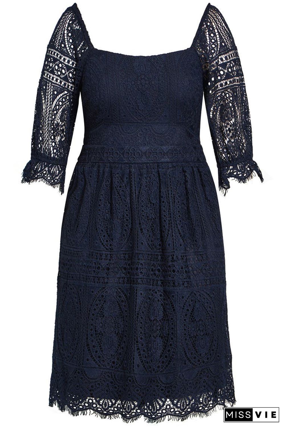 Black Eyelash Lace Square Neck Plus Size Dress